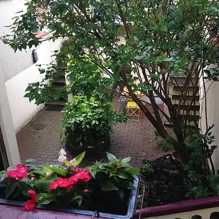 Votre Pied à Terre En Plein Coeur Du Touquet *
